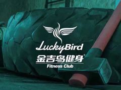 -金吉鸟健身游泳