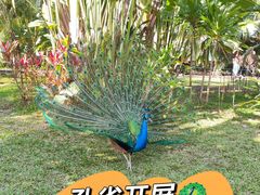 -广州动物园