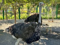 -水上乐园·欢乐世界