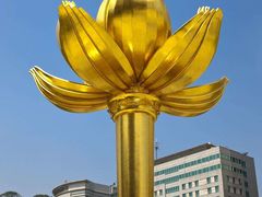 -金莲花广场