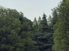 -洛阳市隋唐城遗址植物园