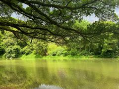 -云水谣景区