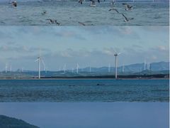 -南麂列岛