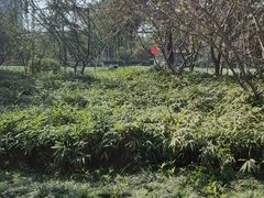 -杭州城北体育公园