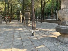 -四门塔风景区