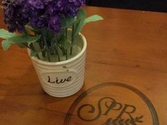 -SPR COFFEE(兴正元店)