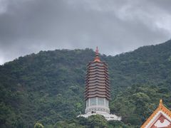 -深圳仙湖植物园