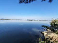 -漩门湾国家湿地公园