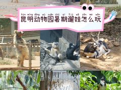 -昆明动物园