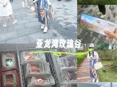 -亚龙湾国际玫瑰谷