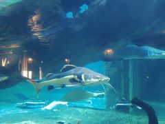 -华夏文旅海洋公园