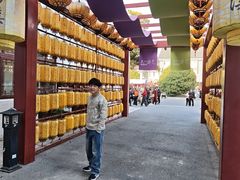 -东台西溪天仙缘景区