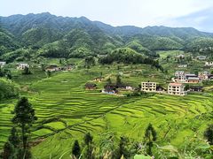 -紫鹊界梯田景区