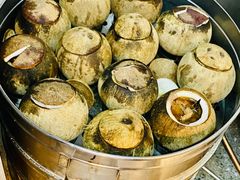 原只椰子炖竹丝鸡-達揚原味燉品(文明路店)