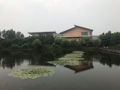 -溱湖国家湿地公园