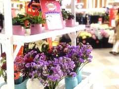 -茶马花街(城西银泰城店)