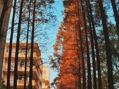 -上海大学(嘉定校区)