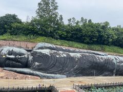 -三水森林公园
