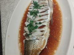 -金美华轩(东方路齐鲁店)
