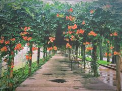 -前小桔亲子创意农场·草莓采摘·露营烧烤