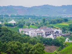 -帐篷客·溪龙茶谷度假酒店