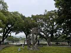 -江心屿景区