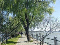 -无锡蠡湖国家湿地公园-蠡园