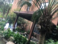 -汇雅温泉