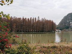 -星湖旅游景区七星岩