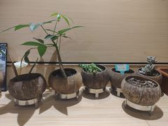 自助调料区-五月甜品(中山公园店)