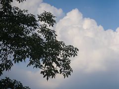 -坑口(地铁站)