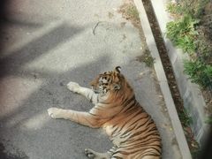 -大连森林动物园