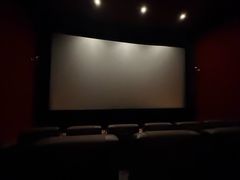 -大光明电影院(南京西路店)