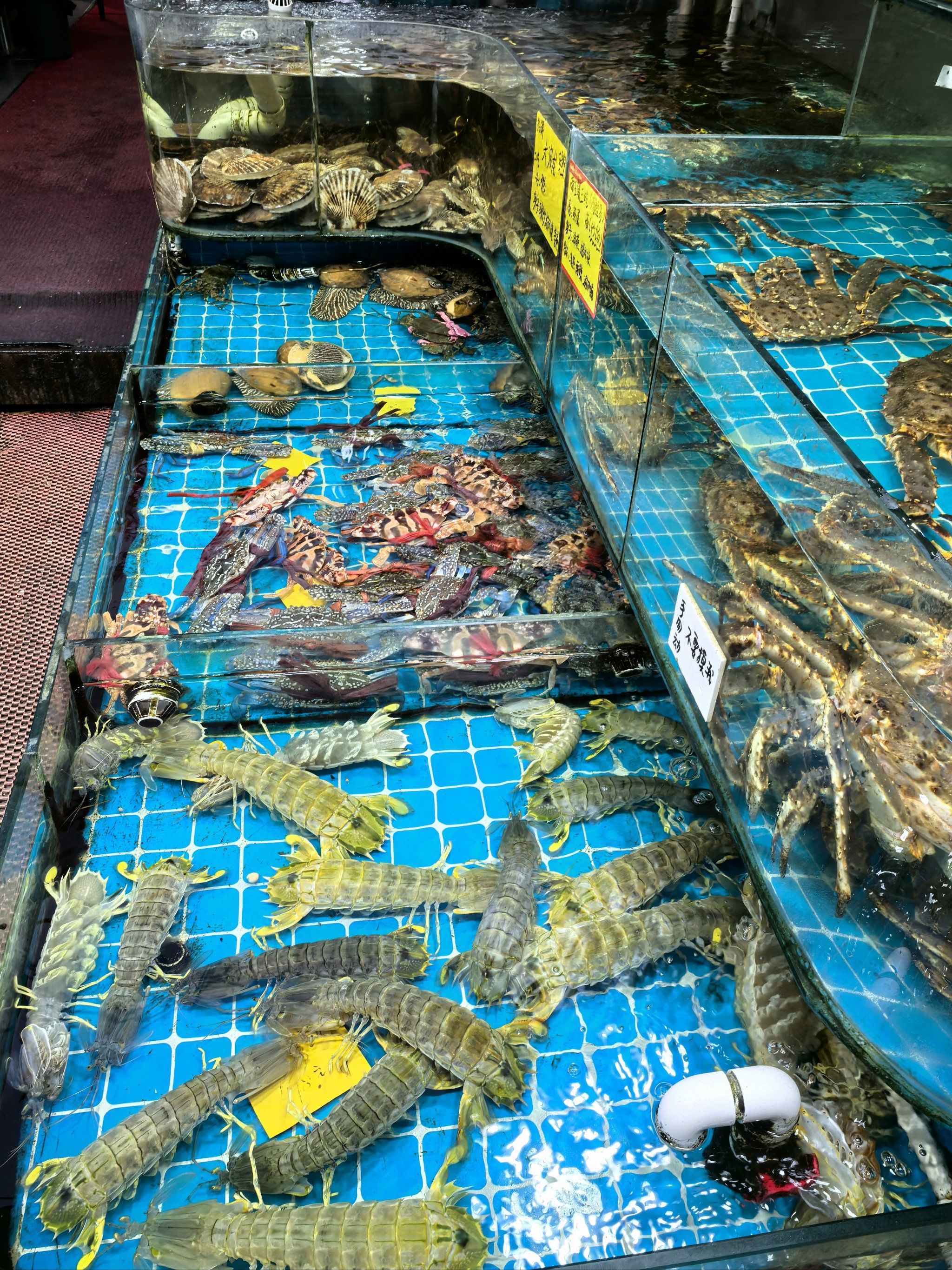 水产市集好去处,厦门中山路八市海鲜市场打卡