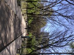 花园-山东大学(洪家楼校区)