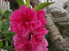 -李叔同故居纪念馆