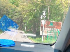 -洛阳白云山景区