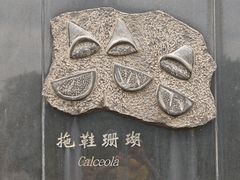 -金钉子远古世界景区