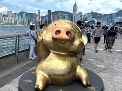 -星光大道