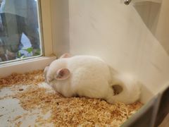 -龙猫仔乐园(惠福东路店)