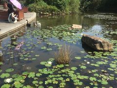 -白马涧龙池景区