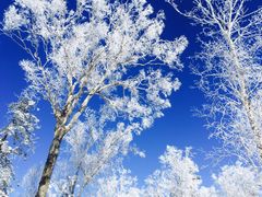 -亚布力新体委滑雪场