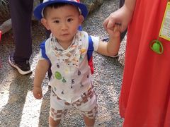 -呀诺达热带雨林