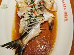 -丹江渔村(望京店)