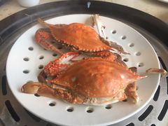 -港畔赶海蒸汽海鲜烧烤自助(仙螺岛店)
