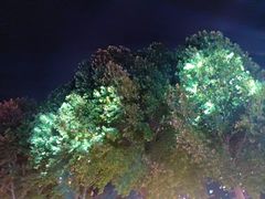 -西苑公园