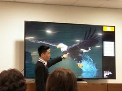 -Sony Store 索尼(上海淮海中路店)