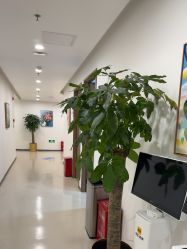 -丰联丽格医疗美容·联合丽格眼整形中心