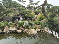 -罗红摄影艺术馆