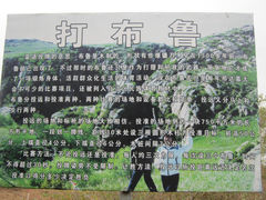 -大青沟风景区